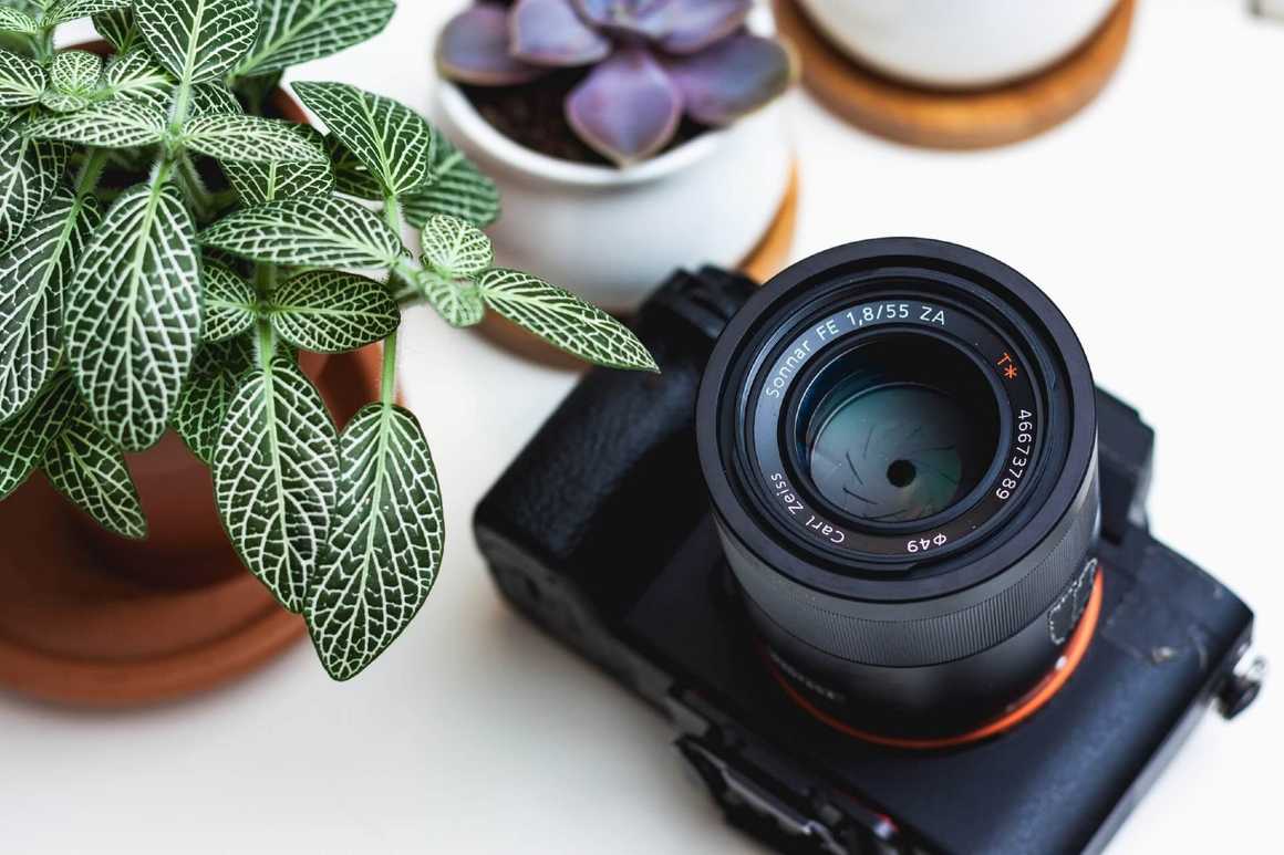 Camera with plants